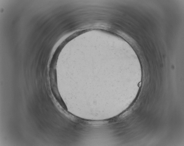 X0000078291200200612011801