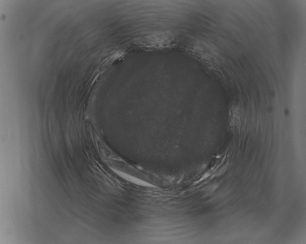 X0000078291202200612011800