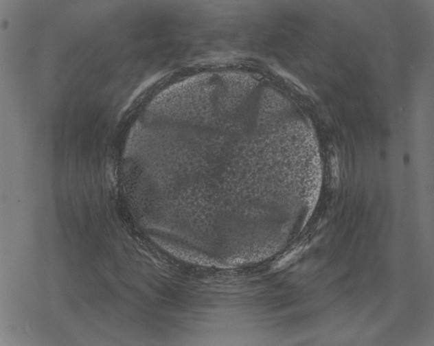 X0000078291206200612011800