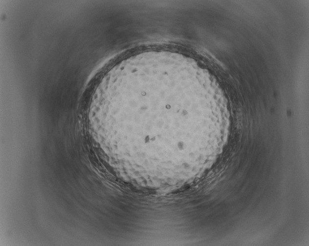 X0000078291208200612011800