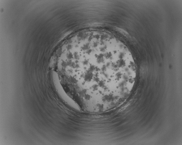 X0000078291209200612011800