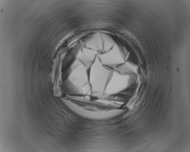 X0000078291210200612011800