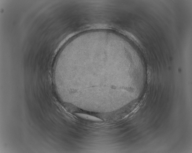 X0000078291212200612011800