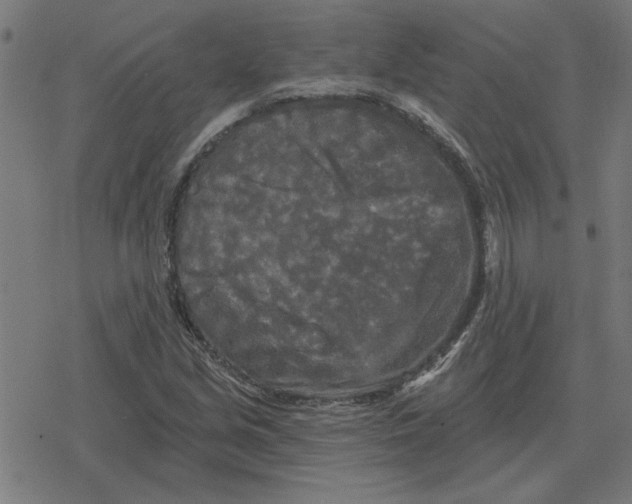 X0000078291213200612011800