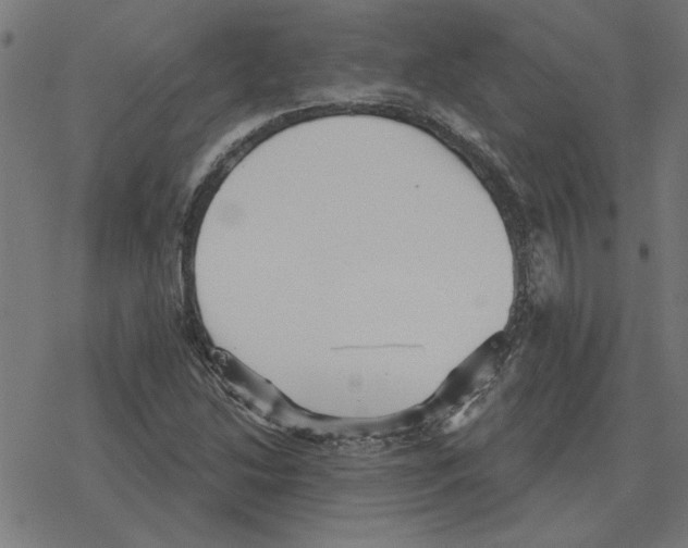 X0000078291214200612011801