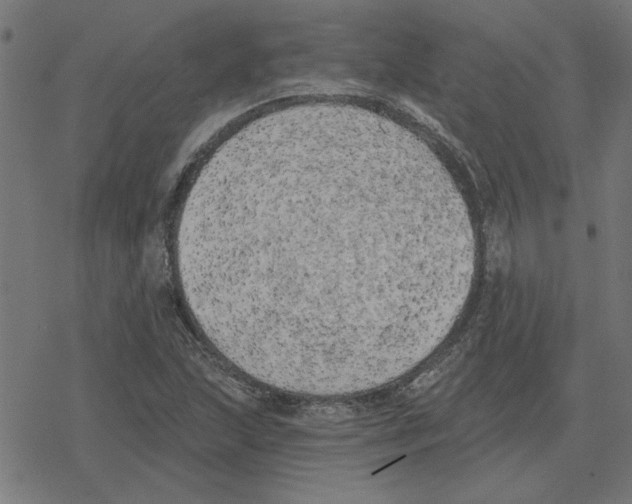 X0000078291215200612011801