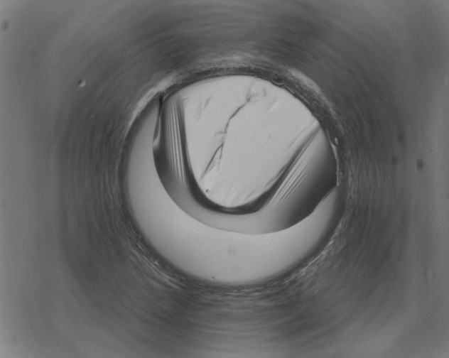 X0000078291218200612011801