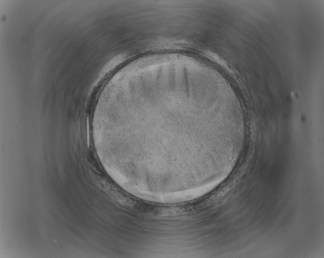 X0000078291219200612011801