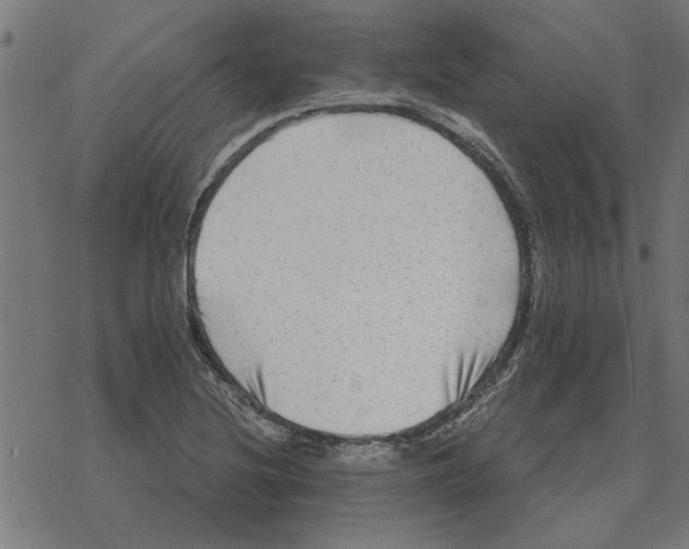 X0000078291220200612011801