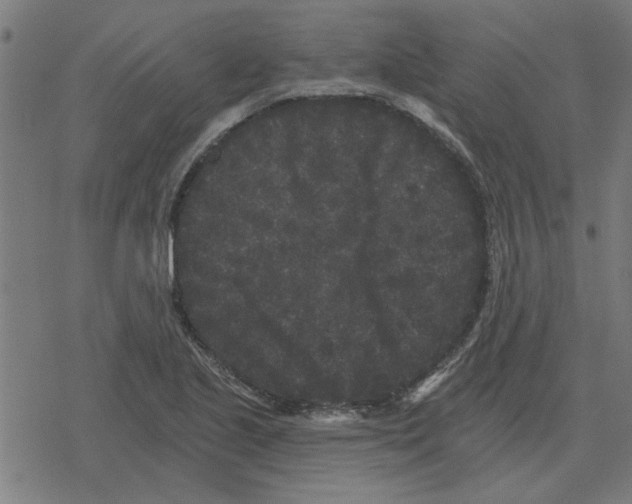 X0000078291221200612011801