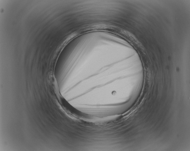 X0000078291225200612011801