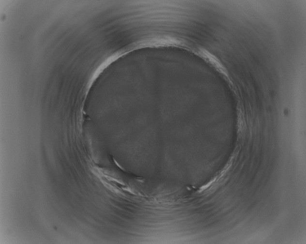 X0000078291226200612011801