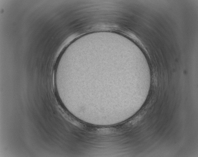 X0000078291227200612011801