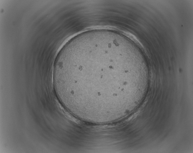 X0000078291228200612011801