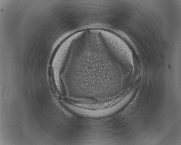 X0000078291230200612011801