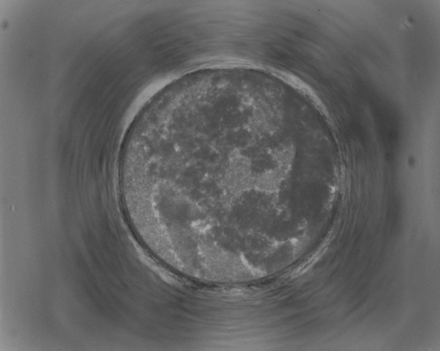 X0000078291231200612011801