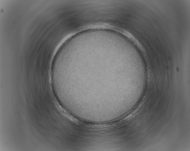 X0000078291232200612011801