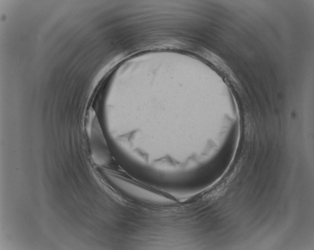 X0000078291234200612011801