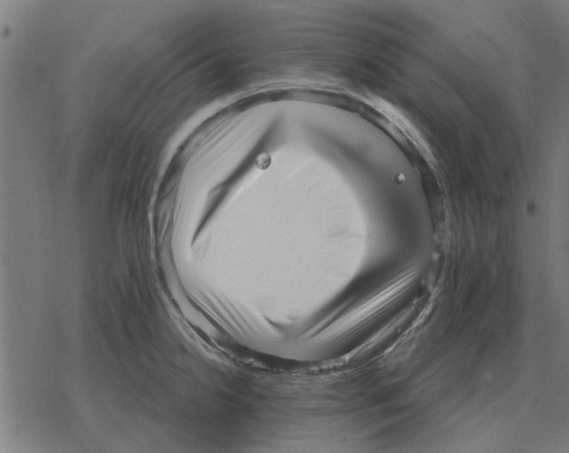 X0000078291238200612011801