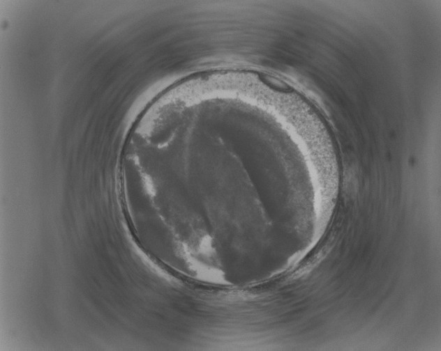 X0000078291239200612011801