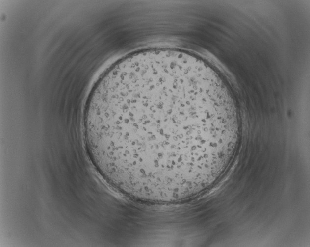 X0000078291240200612011801