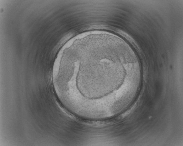 X0000078291241200612011801