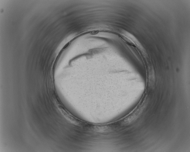 X0000078291242200612011801