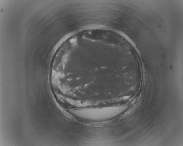 X0000078291245200612011801