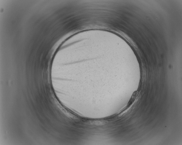 X0000078291246200612011801