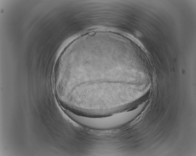 X0000078291247200612011801