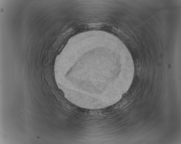 X0000078291249200612011800