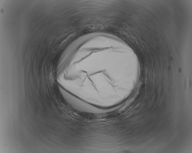 X0000078291250200612011800