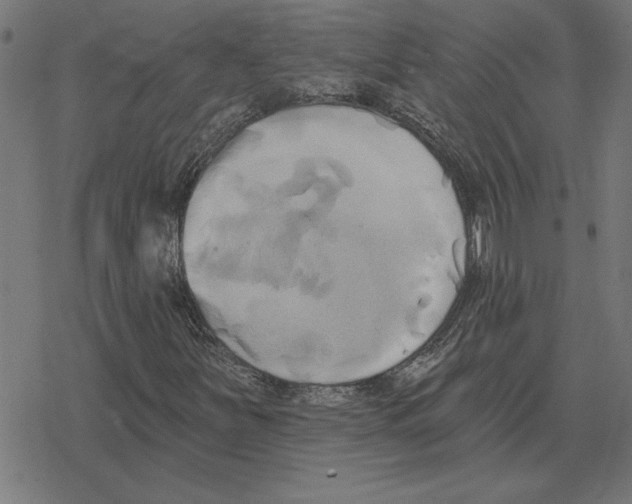 X0000078291251200612011800