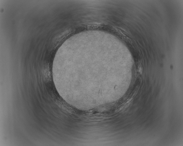 X0000078291252200612011800