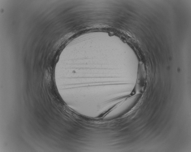 X0000078291257200612011800