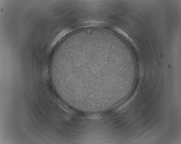 X0000078291259200612011800