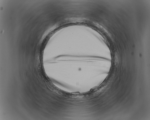 X0000078291261200612011800