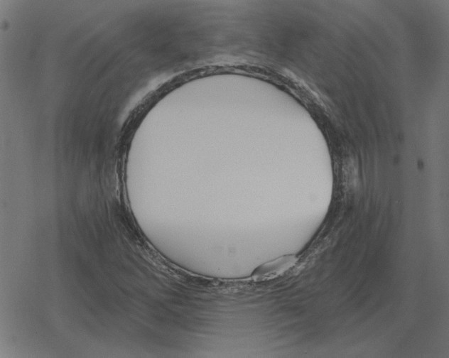 X0000078291262200612011800