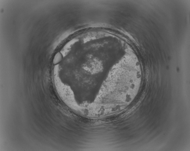 X0000078291263200612011800