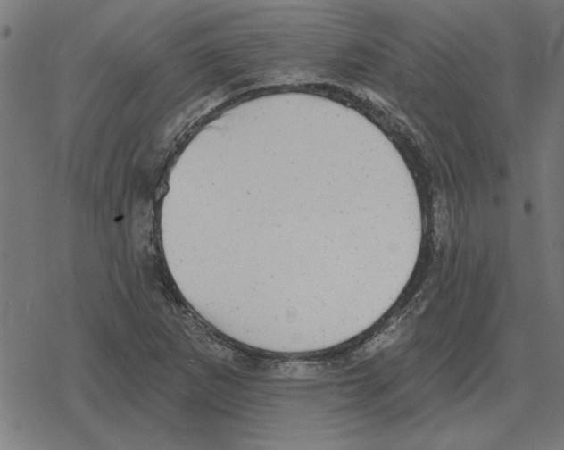 X0000078291265200612011800