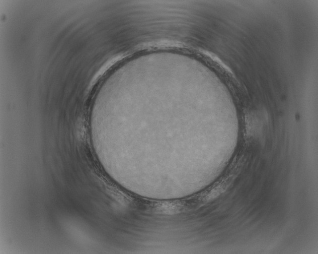 X0000078291266200612011800