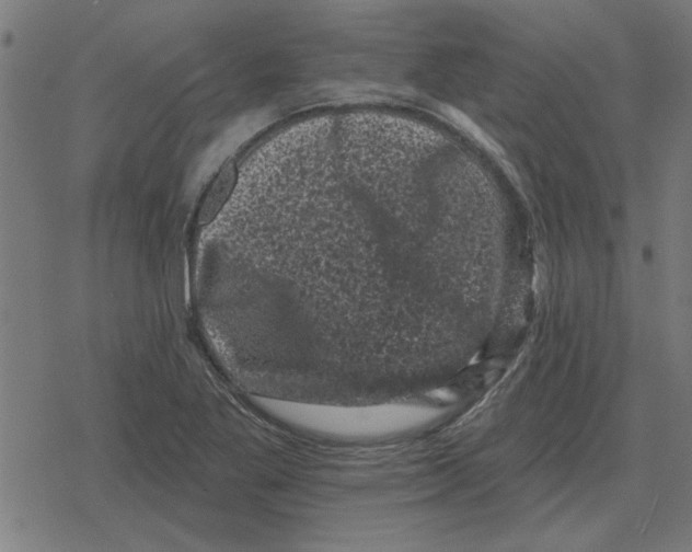 X0000078291269200612011800