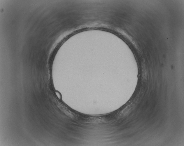 X0000078291270200612011800