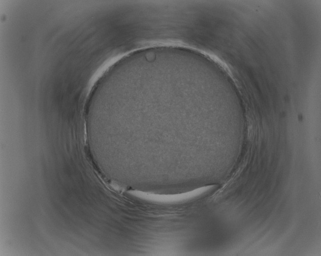 X0000078291271200612011800