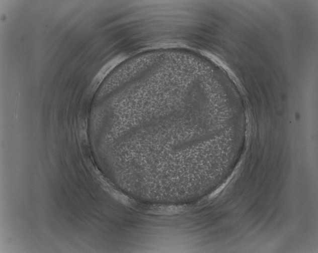 X0000078291273200612011800