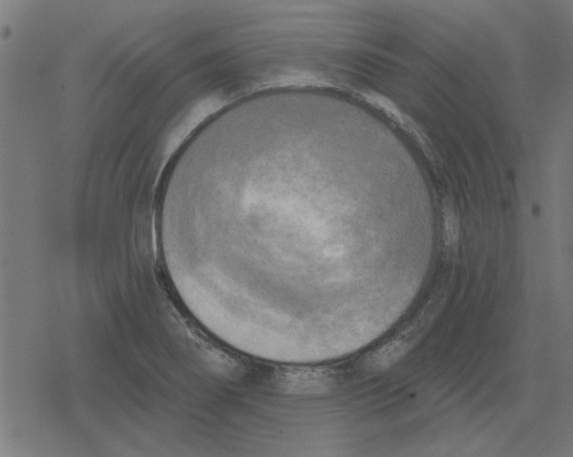 X0000078291274200612011800