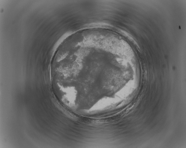 X0000078291275200612011800