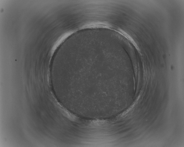 X0000078291277200612011800