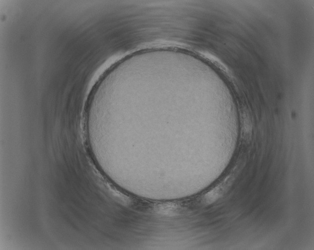 X0000078291278200612011800