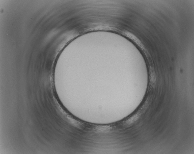 X0000078291282200612011800